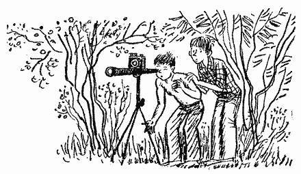 Приключения Григория Половинки - _9.jpg