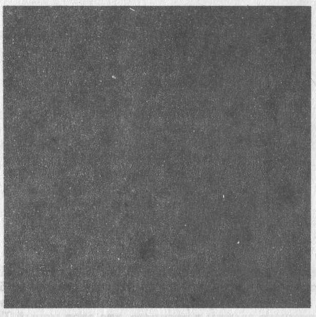 Голем 100 - img_71.jpeg