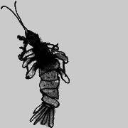 Помощница ангела - img03.png