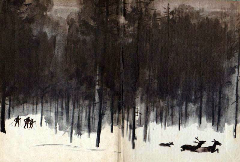 Пашка из Медвежьего лога - pic_1.jpg