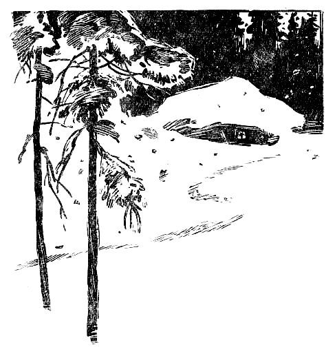 Пашка из Медвежьего лога - pic_3.jpg