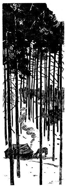 Пашка из Медвежьего лога - pic_8.jpg