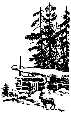 Пашка из Медвежьего лога (Рисунки В. Мешкова) - pic_6.png