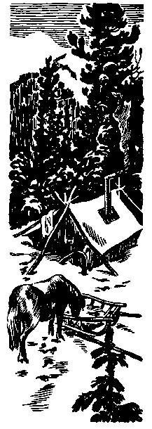 Пашка из Медвежьего лога (Рисунки В. Мешкова) - pic_8.png