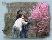 Читать книгу Перо из крыла ангела (СИ) - автор Мутовчийская Ирина Зиновьевна  Перо из крыла ангела (СИ) - автор Мутовчийская Ирина Зиновьевна