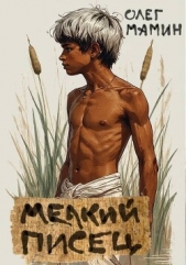 Читать книгу Мамин Олег - Мелкий писец (СИ) на сайте Knigger.com Мамин Олег - Мелкий писец (СИ)