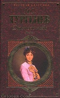 Читать книгу Накануне - автор Тургенев Иван Сергеевич  Накануне - автор Тургенев Иван Сергеевич